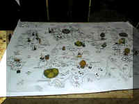 PIC00023.jpg (37492 bytes)